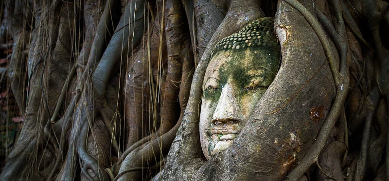Buddha Ayutthaya
