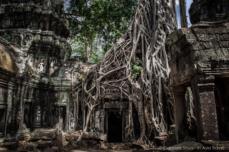 Il Tempio Ta Phrom in Cambogia, Asia