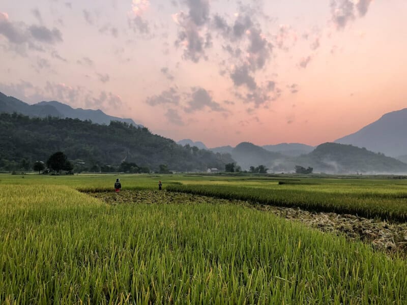 La valle di Mai Chau, nel Vietnam del nord, vanta una tradizione millenaria della coltivazione del riso