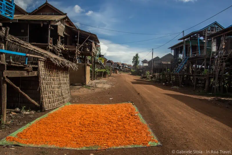 La via di uno dei villaggi che sorgono nei pressi del lago Tonle Sap